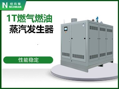1T燃?xì)馊加驼羝l(fā)生器